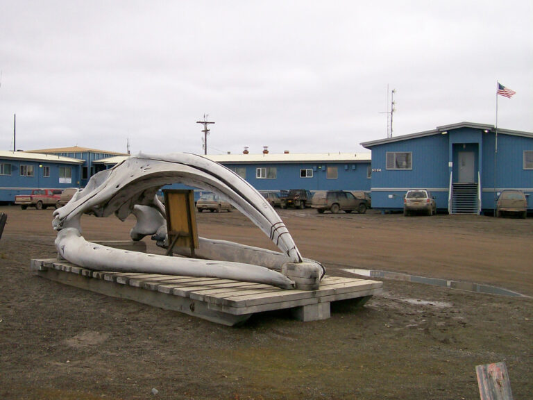 Project-Based Learning for Rural and Indigenous Classrooms